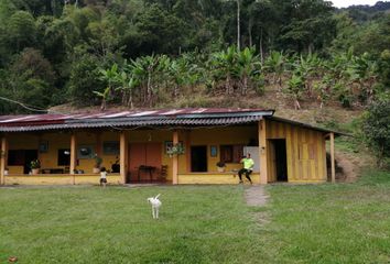 Villa-Quinta en  Balboa, Risaralda, Colombia
