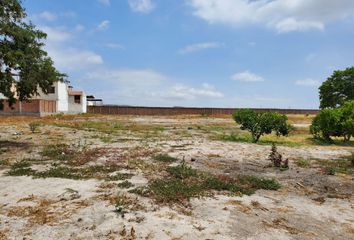 Terreno Comercial en  Entrada Barrio Jesús De Nazaret, Manta, Manabí, Ecuador