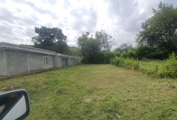 Lote de Terreno en  San Pedro, Valle Del Cauca