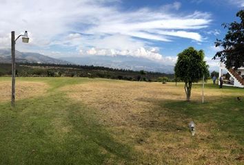 Terreno Comercial en  Pifo, Ecuador