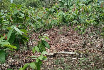 Hacienda-Quinta en  Puerto Quito, San Miguel De Los Bancos