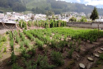 Terreno Comercial en  Monserrat, Conocoto, Quito, Ecuador