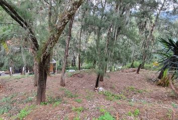 Lote de Terreno en  Santa María Ahuacatlan, Valle De Bravo