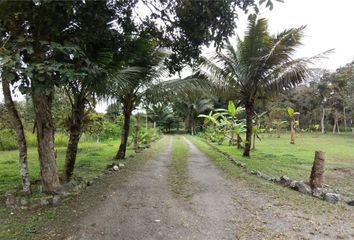 Hacienda-Quinta en  Pacoche, Manabí, Ecuador