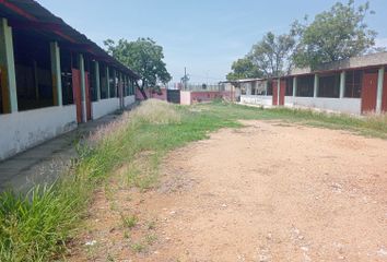 Lote de Terreno en  Clínica Veterinaria Integral Avimaz, Carretera Oaxaca - Zaachila, Rufino Tamayo, Santa Cruz Xoxocotlán, Oaxaca, 71233, Mex