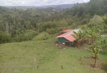 Villa-Quinta en  Peñol, Antioquia, Colombia