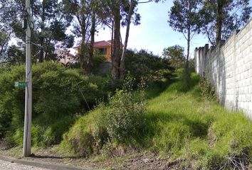 Terreno Comercial en  Sangolquí, Rumiñahui