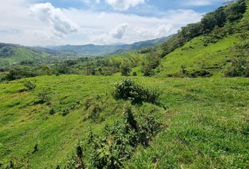 Lote de Terreno en  Cocorná, Antioquia, Colombia