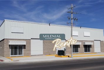 Nave en  El Llano, Quinta Emilia, Hermosillo, Sonora, México