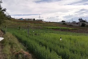 Terreno Comercial en  Rmmj+5fp, Yaruquí, Ecuador