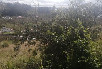 Terreno Comercial en  Huachi Grande, Ambato, Ecuador