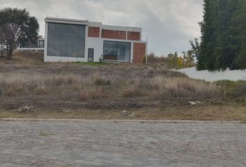 Lote de Terreno en  Haras Del Bosque, Avenida Las Haras, Haras Flor Del Bosque, Puebla De Zaragoza, Puebla, México