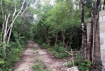 Lote de Terreno en  Puerto Morelos, Quintana Roo, México