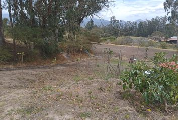 Terreno Comercial en  El Quinche, Quito, Ecuador