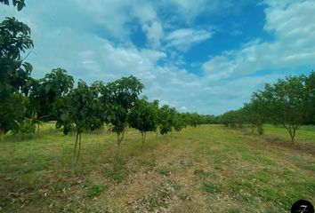 Lote de Terreno en  Manlio Fabio Altamirano, Veracruz