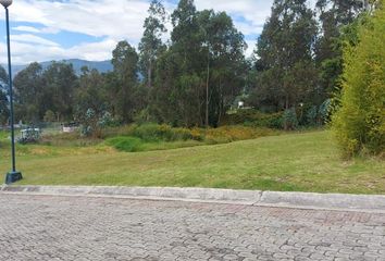 Terreno Comercial en  Calle La Rioja, Cumbayá, Quito, Ecuador