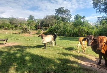 Terreno en  Zapatero, Lamas, San Martín, Per