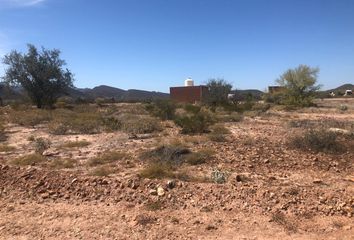 Lote de Terreno en  San Carlos, Sonora, México