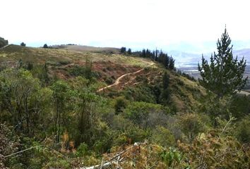 Terreno Comercial en  San Miguel De Ibarra