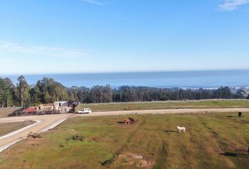 Parcela en  Pichilemu, Cardenal Caro, Libertador Gral. Bernardo O'higgins, Chl