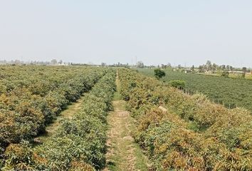 Terreno en  Fundo San Luis El, El Carmen, Perú