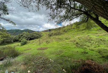 Terreno Comercial en  Rodríguez Witt, Loja, Ecuador