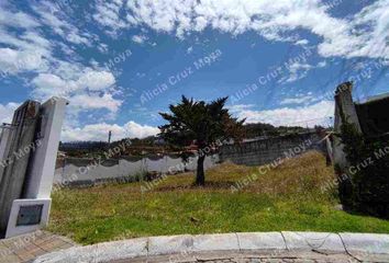 Terreno Comercial en  Nayón, Quito, Ecuador