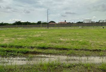 Terreno Comercial en  Tarifa, Samborondón, Ecu