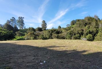 Lote de Terreno en  Rionegro Antioquía