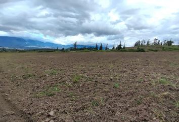 Terreno Comercial en  Urcuquí, San Miguel De Urcuquí