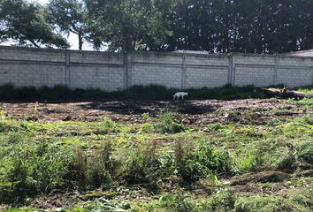 Lote de Terreno en  San Buenaventura, Toluca De Lerdo