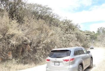 Lote de Terreno en  Santa Teresa Tiloxtoc, Estado De México, México