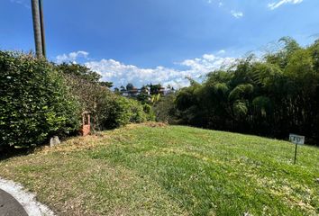 Lote de Terreno en  Belmonte, Pereira