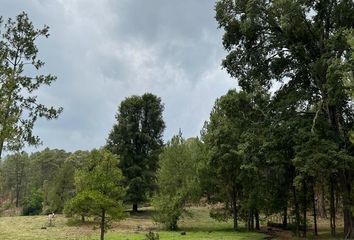 Lote de Terreno en  Taiga Country Boreal Tapalpa, Ecole, Jalisco, México