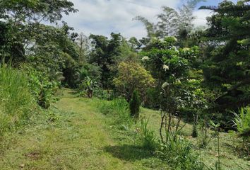 Hacienda-Quinta en  Comunidad Ganaderos Orenses, Troncal De La Costa, Ecuador