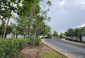 Lote de Terreno en  Senderos De Monte Verde, Tlajomulco De Zúñiga, Jalisco, México