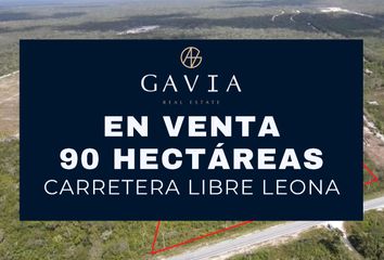 Lote de Terreno en  Carretera Leona Vicario-cancún, Benito Juárez, Quintana Roo, Mex