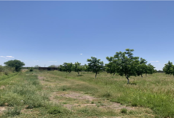 Lote de Terreno en  Rosales, Chihuahua, Mex