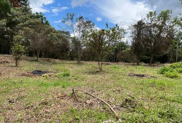 Lote de Terreno en  Escuela Los Pinos, Rionegro, Antioquia, Colombia