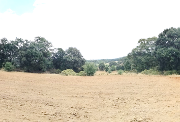 Lote de Terreno en  Jilotepec De Abasolo, State Of Mexico, México