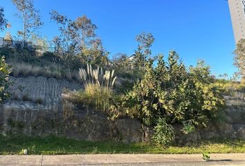 Lote de Terreno en  Privada Del Acueducto Mz 001, Bosque Real, Naucalpan De Juárez, Estado De México, México