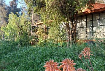 Casa en  Navidad, Cardenal Caro