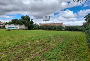 Lote de Terreno en  Panales, Ixmiquilpan, Estado De Hidalgo, México
