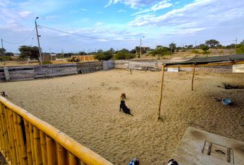 Terreno en  Villa La Palma Condominio, Piura, Perú