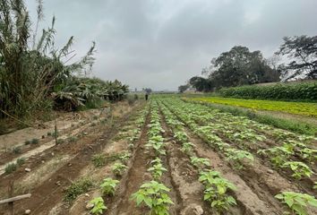 Terreno en  Carabayllo, Lima