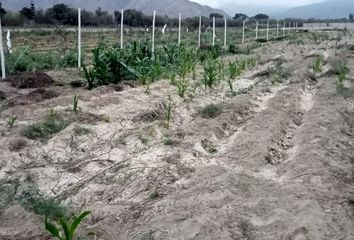 Terreno en  Santa Rosa De Asia, Asia, Perú