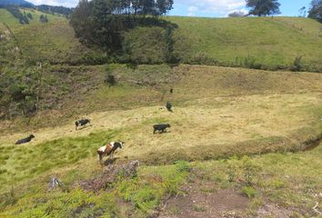 Terreno Comercial en  Victoria Del Portete, Ecuador