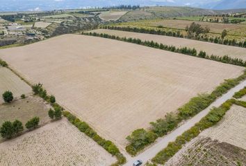 Terreno Comercial en  Malchingui, Ecuador