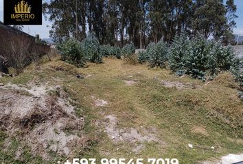 Terreno Comercial en  Pje. San Miguel, Cotacachi, Ecuador