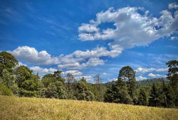 Lote de Terreno en  Valle De Bravo, Mz 005, San Simón El Alto, Estado De México, México